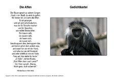 Die-Affen-Busch.pdf